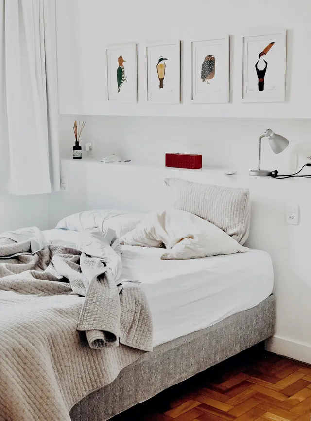 best bed bug treatments in Keene, NH