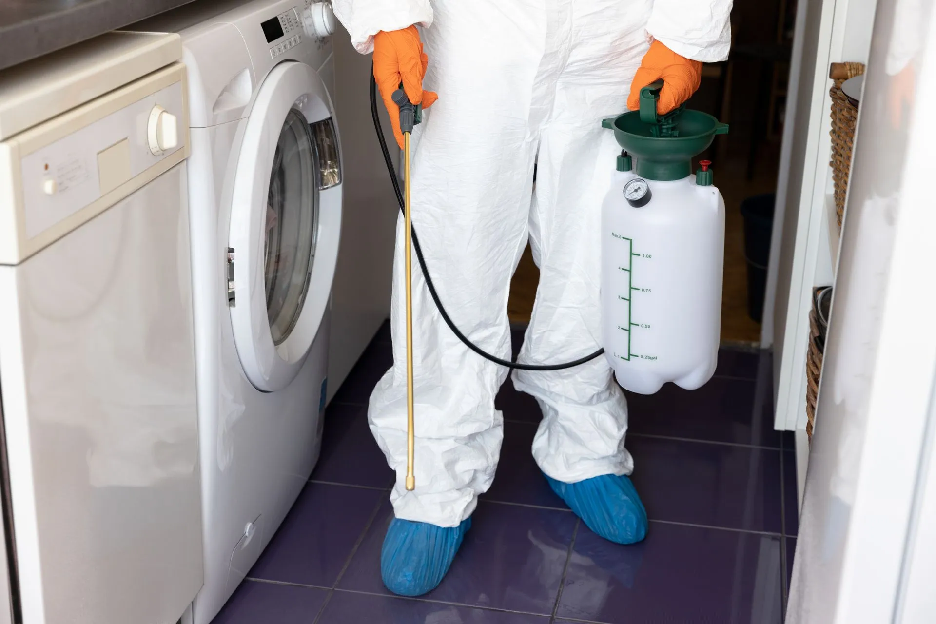 Pest control company in Walpole NH