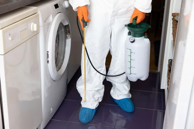 Pest control company in Walpole NH